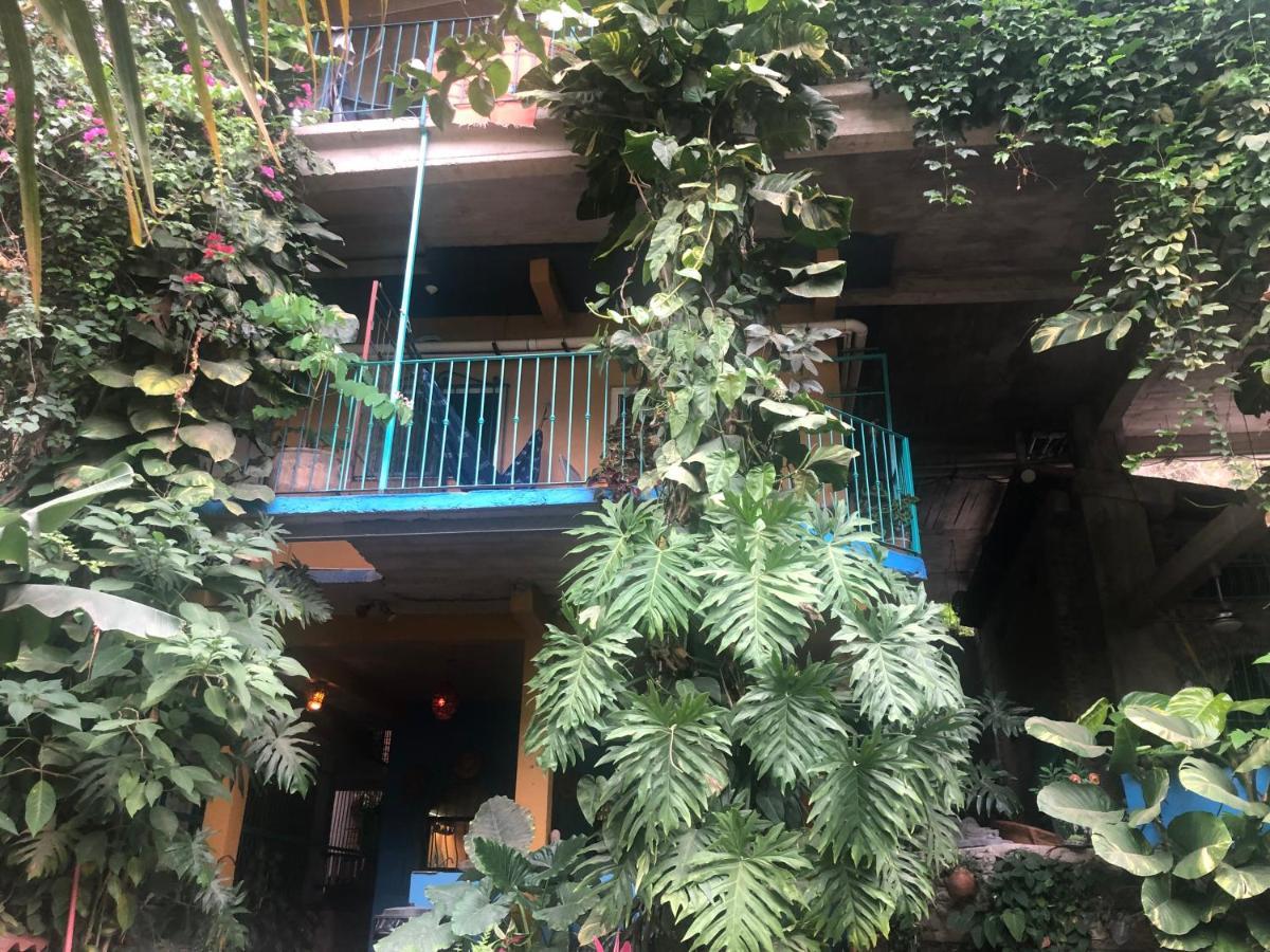 Casa Cereza Apartments Puerto Vallarta Eksteriør bilde