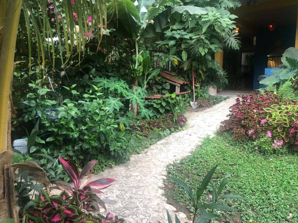 Casa Cereza Apartments Puerto Vallarta Eksteriør bilde